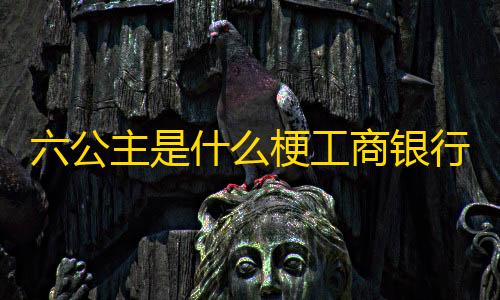 域名解析六公主是什么梗工商银行APP